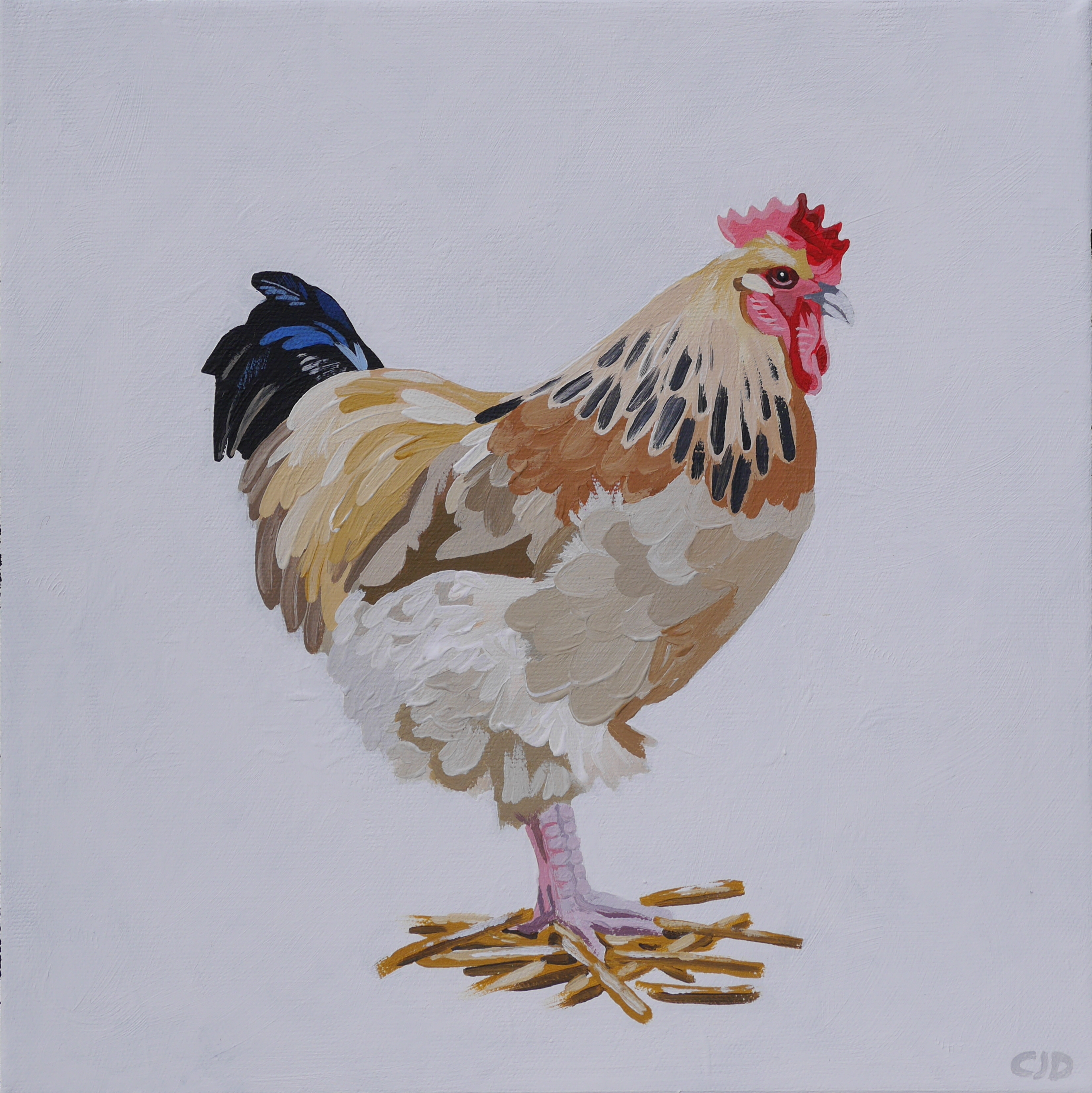 contemporary fine art acrylic painting of a New Hampshire Red chicken in the style of Ladybird book illustrations by saatchiart artist Christian Dodd