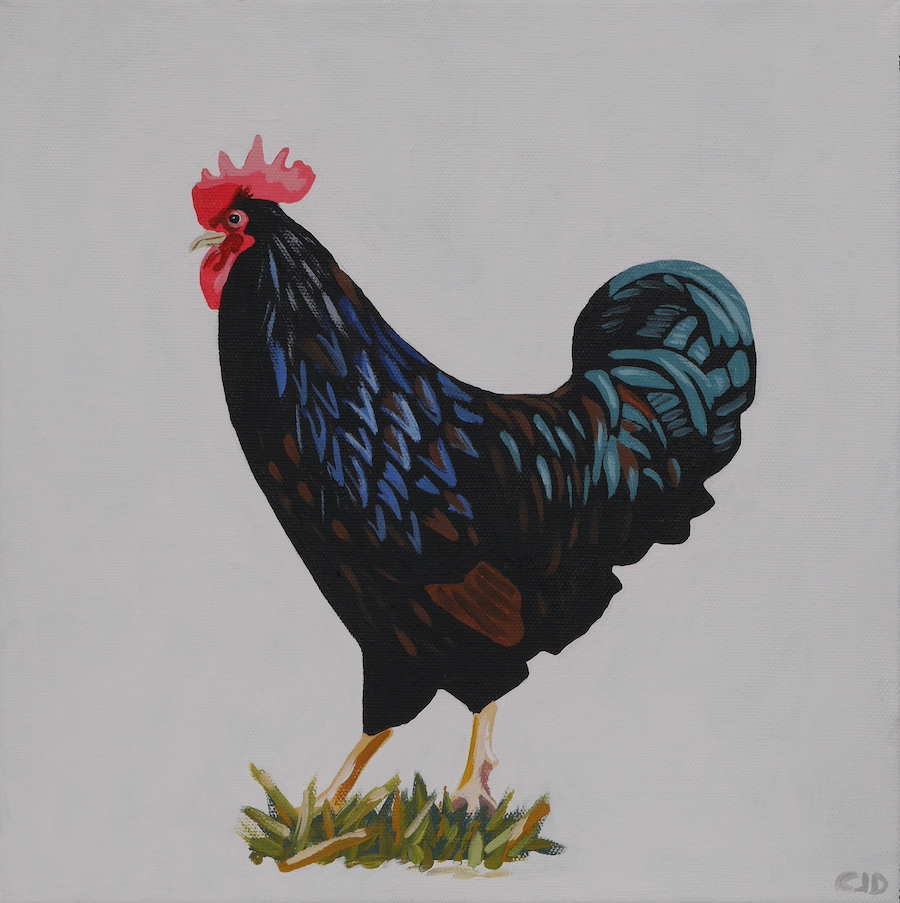 contemporary fine art acrylic painting of a Rhode Island Red chicken in the style of Ladybird book illustrations by saatchiart artist Christian Dodd