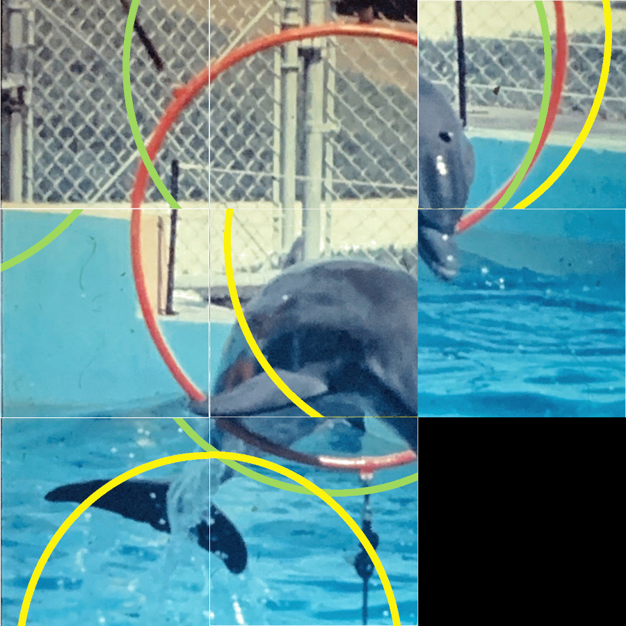 interactive contemporary fine art digital collage slide puzzle of vintage image of dolphin jumping through many colored hoops called Jumping Through Hoops by saatchiart artist Christian Dodd inspired by slide puzzles, esoterica, quantum physics and incompatibilism