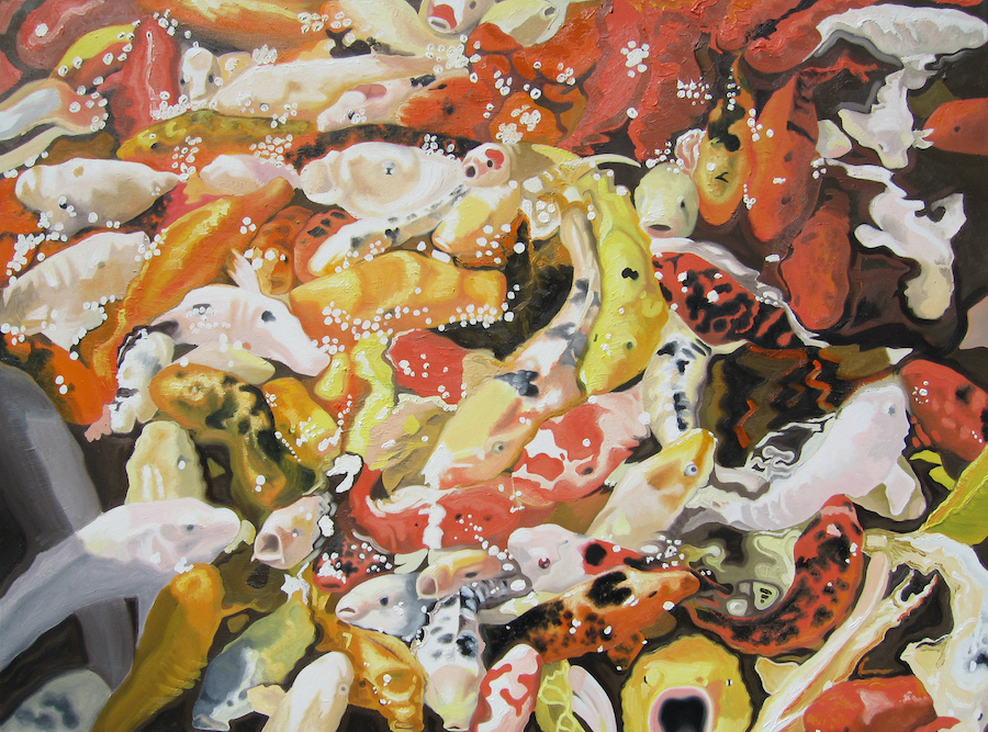 contemporary fine art oil painting of koi carp in a feeding frenzy by saatchiart artist Christian Dodd